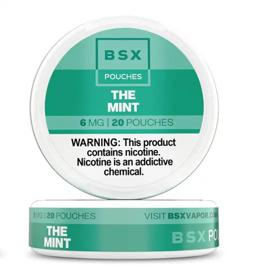 GLAS BSX POUCHES - THE MINT