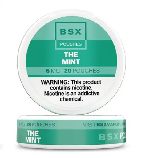 GLAS BSX POUCHES - THE MINT